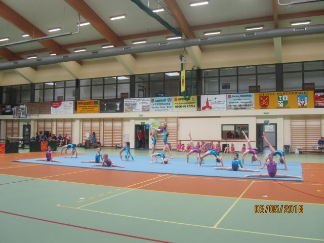 dnio 73